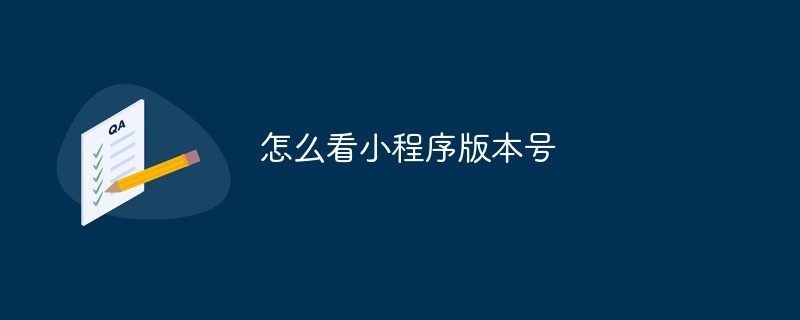 温州市怎么看小程序版本号